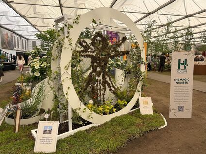 Chelsea Flower Show display